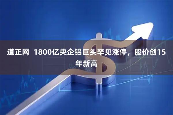 道正网  1800亿央企铝巨头罕见涨停，股价创15年新高