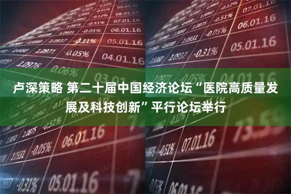卢深策略 第二十届中国经济论坛“医院高质量发展及科技创新”平行论坛举行