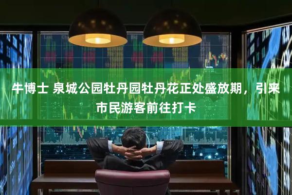 牛博士 泉城公园牡丹园牡丹花正处盛放期，引来市民游客前往打卡